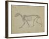 Lateral View of a Tiger Skeleton-George Stubbs-Framed Giclee Print