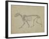 Lateral View of a Tiger Skeleton-George Stubbs-Framed Giclee Print