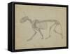 Lateral View of a Tiger Skeleton-George Stubbs-Framed Stretched Canvas