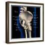 Lateral view of male pelvis, hip, and leg bones labeled on a black background.-Hank Grebe-Framed Art Print