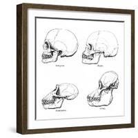 Lateral View of the Skull or Profile, 1848-null-Framed Giclee Print