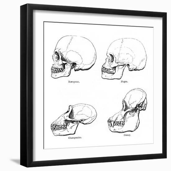 Lateral View of the Skull or Profile, 1848-null-Framed Giclee Print