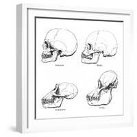 Lateral View of the Skull or Profile, 1848-null-Framed Giclee Print