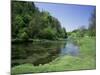 Lathkill Dale, Near Bakewell, Peak District National Park, Derbyshire, England-Roy Rainford-Mounted Photographic Print