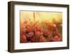 Lathmar Holi-Francesco Vaninetti-Framed Photographic Print