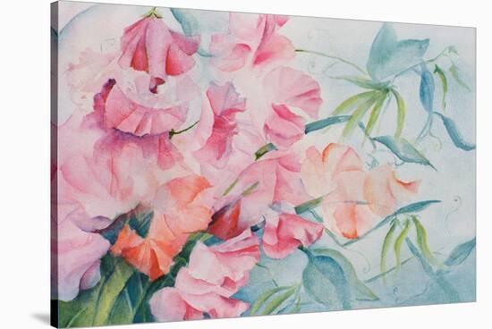 Lathyrus Odoratus, Sweet Pea-Karen Armitage-Stretched Canvas