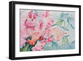 Lathyrus Odoratus, Sweet Pea-Karen Armitage-Framed Giclee Print