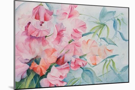 Lathyrus Odoratus, Sweet Pea-Karen Armitage-Mounted Giclee Print