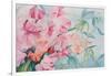 Lathyrus Odoratus, Sweet Pea-Karen Armitage-Framed Giclee Print