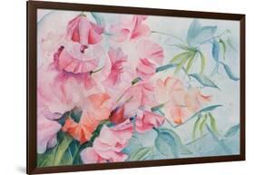 Lathyrus Odoratus, Sweet Pea-Karen Armitage-Framed Giclee Print