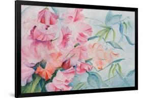 Lathyrus Odoratus, Sweet Pea-Karen Armitage-Framed Giclee Print