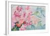 Lathyrus Odoratus, Sweet Pea-Karen Armitage-Framed Giclee Print