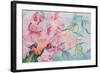 Lathyrus Odoratus, Sweet Pea-Karen Armitage-Framed Giclee Print