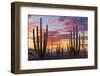 Latin America, Mexico, Baja California, sunrise near Catavinia-Christian Heeb-Framed Photographic Print