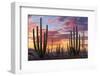 Latin America, Mexico, Baja California, sunrise near Catavinia-Christian Heeb-Framed Photographic Print