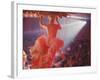 Latin Quarter Nightclub Show-Gordon Parks-Framed Photographic Print