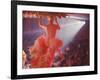 Latin Quarter Nightclub Show-Gordon Parks-Framed Photographic Print