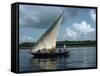 Latine Rig Fishing Boat, Kenya, East Africa, Africa-null-Framed Stretched Canvas