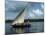 Latine Rig Fishing Boat, Kenya, East Africa, Africa-null-Mounted Photographic Print