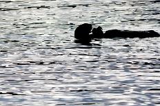 Surfer in Waves at Sunrise-Latitude 59 LLP-Photographic Print