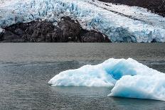 Path to Portage Glacier-Latitude 59 LLP-Photographic Print