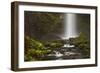 Latourell Falls and Creek, Guy S. Talbot Sp, Columbia Gorge, Oregon-Michel Hersen-Framed Photographic Print