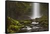 Latourell Falls and Creek, Guy S. Talbot Sp, Columbia Gorge, Oregon-Michel Hersen-Framed Stretched Canvas