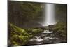 Latourell Falls and Creek, Guy S. Talbot Sp, Columbia Gorge, Oregon-Michel Hersen-Mounted Photographic Print