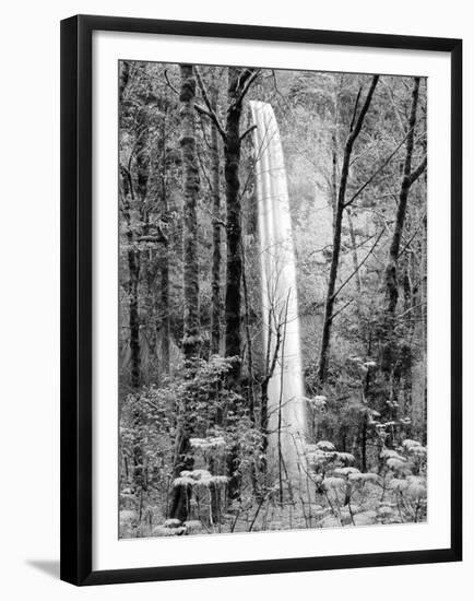 Latourell Falls, Columbia River Gorge National Scenic Area, Oregon, USA-Charles Crust-Framed Premium Photographic Print