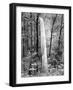 Latourell Falls, Columbia River Gorge National Scenic Area, Oregon, USA-Charles Crust-Framed Photographic Print