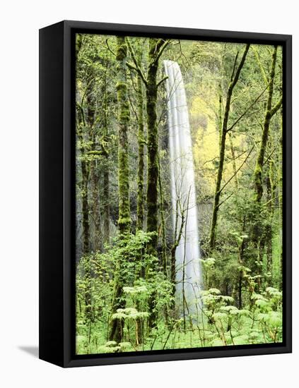 Latourell Falls, Columbia River Gorge National Scenic Area, Oregon, USA-Charles Crust-Framed Stretched Canvas