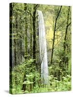 Latourell Falls, Columbia River Gorge National Scenic Area, Oregon, USA-Charles Crust-Stretched Canvas