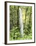 Latourell Falls, Columbia River Gorge National Scenic Area, Oregon, USA-Charles Crust-Framed Premium Photographic Print