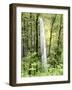 Latourell Falls, Columbia River Gorge National Scenic Area, Oregon, USA-Charles Crust-Framed Photographic Print