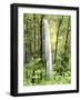 Latourell Falls, Columbia River Gorge National Scenic Area, Oregon, USA-Charles Crust-Framed Photographic Print