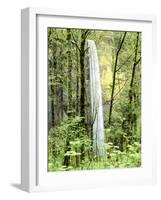 Latourell Falls, Columbia River Gorge National Scenic Area, Oregon, USA-Charles Crust-Framed Photographic Print