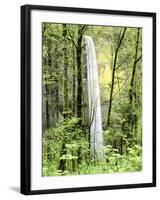 Latourell Falls, Columbia River Gorge National Scenic Area, Oregon, USA-Charles Crust-Framed Photographic Print