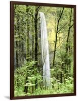 Latourell Falls, Columbia River Gorge National Scenic Area, Oregon, USA-Charles Crust-Framed Photographic Print