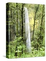 Latourell Falls, Columbia River Gorge National Scenic Area, Oregon, USA-Charles Crust-Stretched Canvas