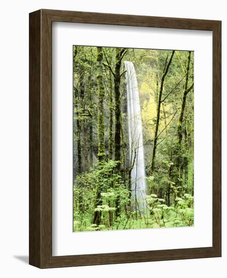 Latourell Falls, Columbia River Gorge National Scenic Area, Oregon, USA-Charles Crust-Framed Photographic Print