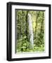 Latourell Falls, Columbia River Gorge National Scenic Area, Oregon, USA-Charles Crust-Framed Photographic Print