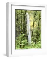 Latourell Falls, Columbia River Gorge National Scenic Area, Oregon, USA-Charles Crust-Framed Photographic Print