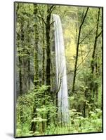 Latourell Falls, Columbia River Gorge National Scenic Area, Oregon, USA-Charles Crust-Mounted Photographic Print