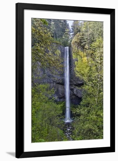 Latourell Falls Columbia River Gorge National Scenic Area, Oregon-Darrell Gulin-Framed Photographic Print