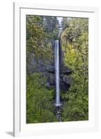 Latourell Falls Columbia River Gorge National Scenic Area, Oregon-Darrell Gulin-Framed Premium Photographic Print