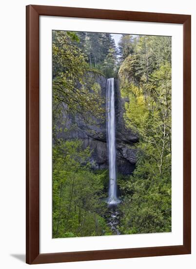 Latourell Falls Columbia River Gorge National Scenic Area, Oregon-Darrell Gulin-Framed Premium Photographic Print