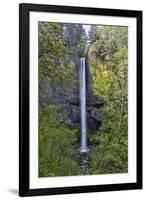 Latourell Falls Columbia River Gorge National Scenic Area, Oregon-Darrell Gulin-Framed Premium Photographic Print