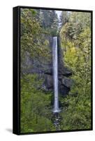 Latourell Falls Columbia River Gorge National Scenic Area, Oregon-Darrell Gulin-Framed Stretched Canvas