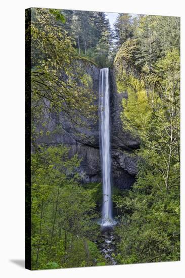 Latourell Falls Columbia River Gorge National Scenic Area, Oregon-Darrell Gulin-Stretched Canvas