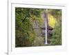 Latourell Falls. Columbia River Gorge, Oregon, USA.-Tom Norring-Framed Photographic Print